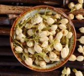 鮮茉莉花怎么炮制成茶？