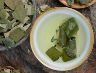 荷葉茶為什么叫短命茶？