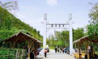 5月12日：徒步貢茶古道，天然氧吧，綠色之旅